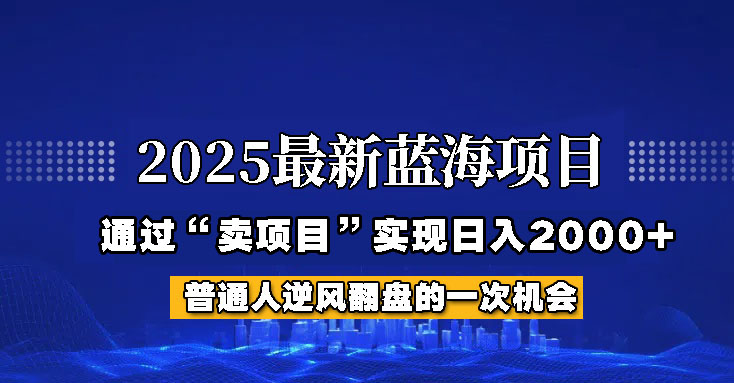 2025年蓝海项目,如何通过“网创项目”日入2000+创业项目-副业赚钱-互联网创业-资源整合HubZap创业