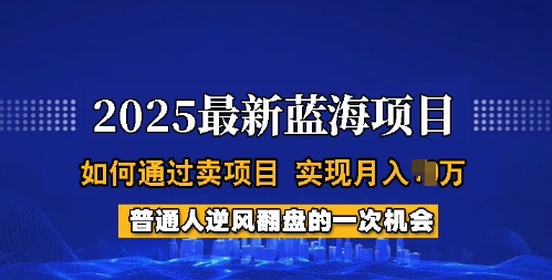 2025蓝海项目，普通人如何通过卖项目，实现月入过W，全过程【揭秘】创业项目-副业赚钱-互联网创业-资源整合HubZap创业