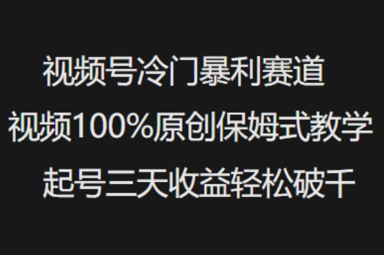 视频号冷门暴利赛道视频100%原创保姆式教学起号三天收益轻松破千创业项目-副业赚钱-互联网创业-资源整合HubZap创业