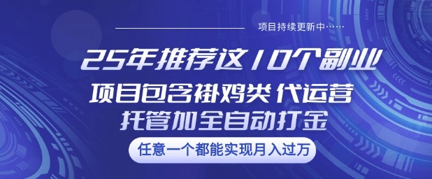 25年推荐这10个副业项目包含褂鸡类、代运营托管类、全自动打金类【揭秘】创业项目-副业赚钱-互联网创业-资源整合HubZap创业
