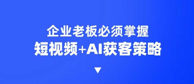 企业短视频AI获客霸屏流量课，6步短视频+AI突围法，3大霸屏抢客策略创业项目-副业赚钱-互联网创业-资源整合HubZap创业