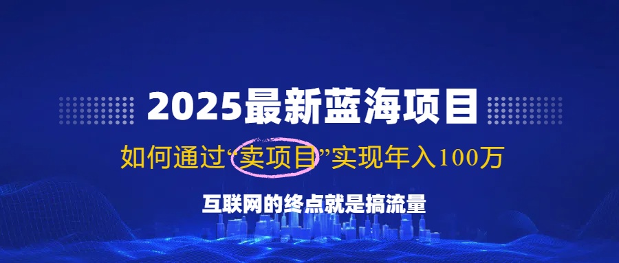 2025最新蓝海项目，零门槛轻松复制，月入10万+，新手也能操作！创业项目-副业赚钱-互联网创业-资源整合HubZap创业