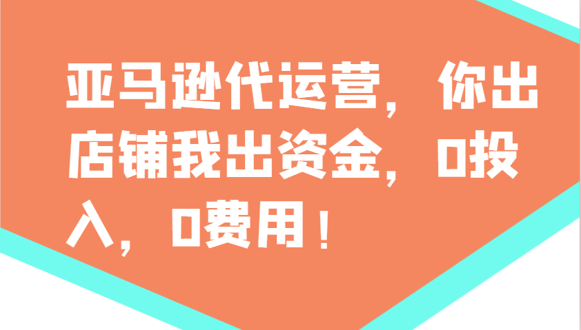 亚马逊代运营，你出店铺我出资金，0投入，0费用，无责任每天300分红，赢亏我承担创业项目-副业赚钱-互联网创业-资源整合HubZap创业