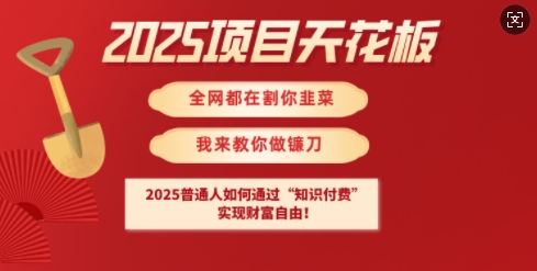 2025项目天花板普通人如何通过知识付费，实现财F自由【揭秘】创业项目-副业赚钱-互联网创业-资源整合HubZap创业
